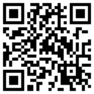 扫码下载专业模拟飞行10手机版