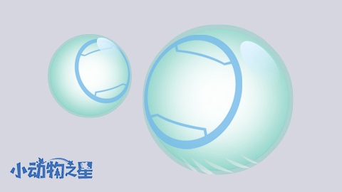 小动物之星官方正版 小动物之星官方正版