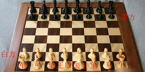 国际象棋(Chess free) 国际象棋(Chess free)