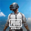PUBG地铁逃生官方正版