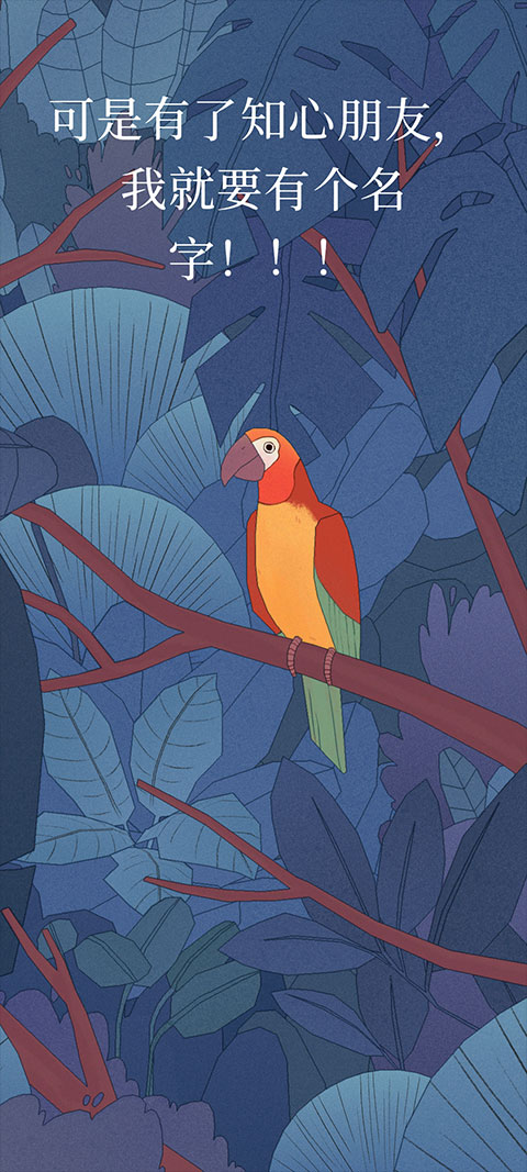 孤独的鸟儿官方正版 孤独的鸟儿官方正版