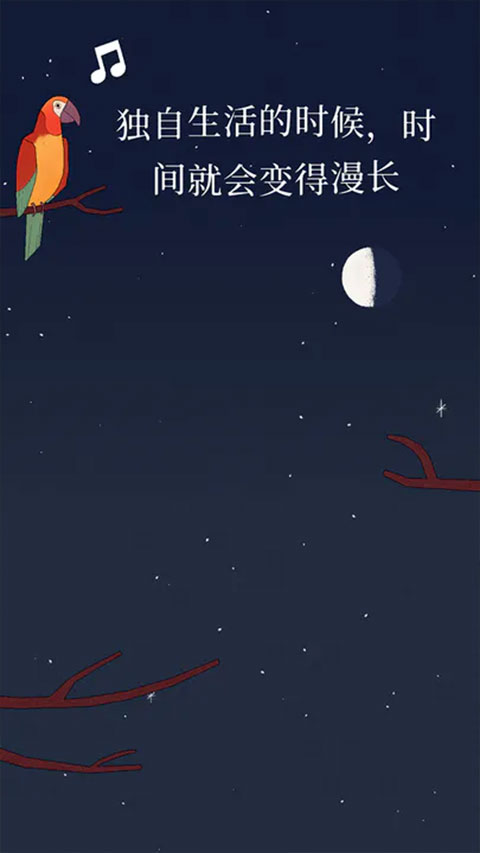 孤独的鸟儿官方正版截图