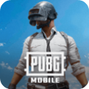 PUBG国际服