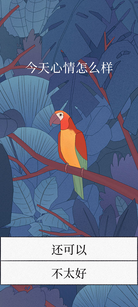 孤独的鸟儿官方正版 孤独的鸟儿官方正版