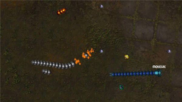 贪吃瑞拉安卓手机版截图