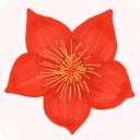 爱我崇左app官方最新版