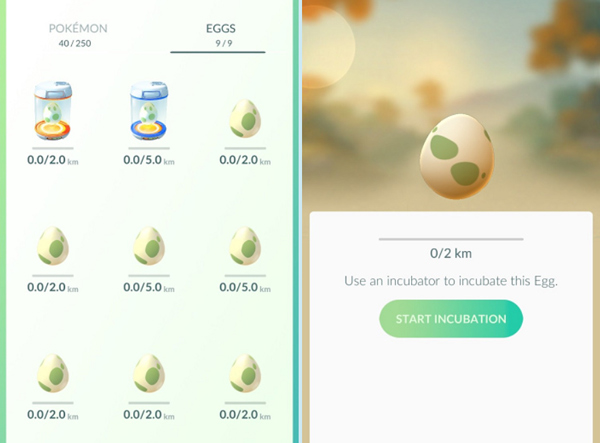 宝可梦go手游官方正版 宝可梦go手游官方正版