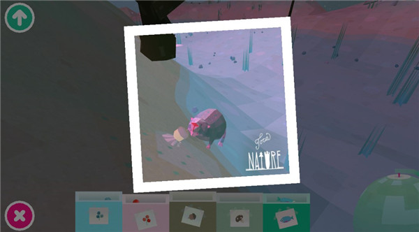 托卡大自然官方中文版(Toca Nature) 托卡大自然官方中文版(Toca Nature)