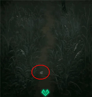 纸嫁衣1官方正版