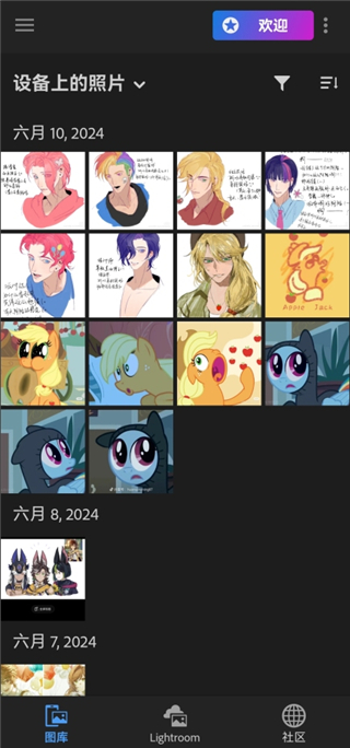 Lightroom安卓手机版 Lightroom安卓手机版