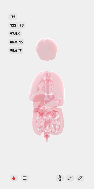 生命life手游中文版 生命life手游中文版