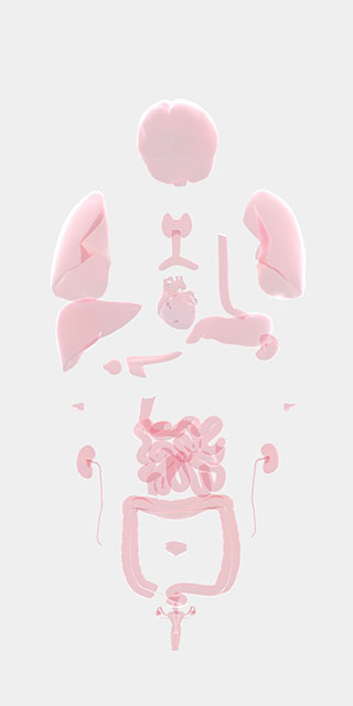 生命life手游中文版 生命life手游中文版