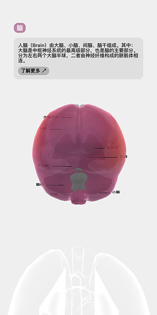 生命life手游中文版 生命life手游中文版