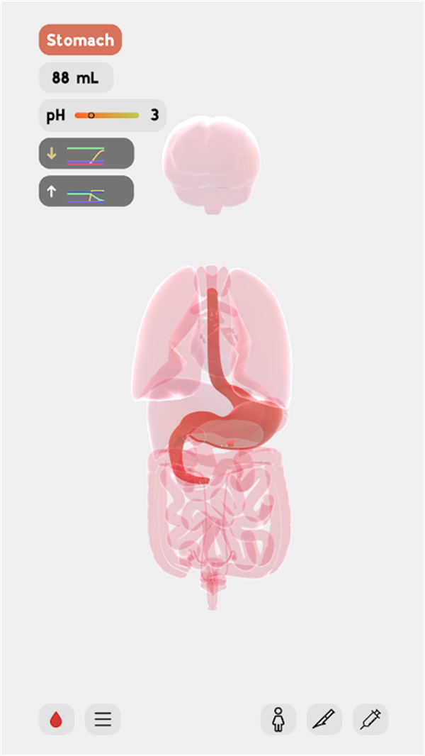 生命life手游中文版截图